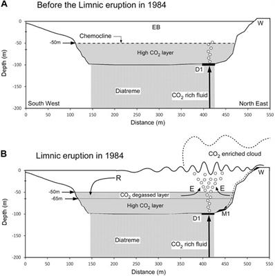 A Depression Containing CO2-Enriched Water at the Bottom of Lake Monoun, Cameroon, and Implications for the 1984 Limnic Eruption